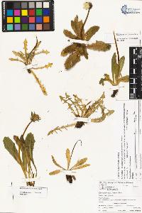 SW_BNB_s3070-04253_IMG-0000000001