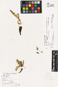 SW_BNB_s3070-04258_IMG-0000000001