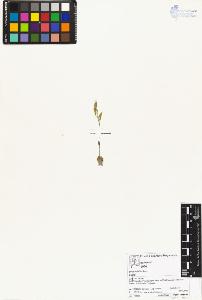SW_BNB_s3070-04264_IMG-0000000001