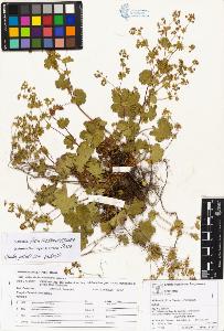 SW_BNB_s3070-04265_IMG-0000000001