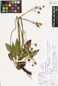 SW_BNB_s3070-04272_IMG-0000000001