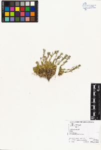 SW_BNB_s3070-04274_IMG-0000000001