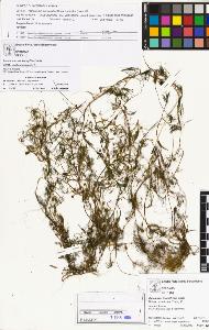 SW_BNB_s3070-04276_IMG-0000000001