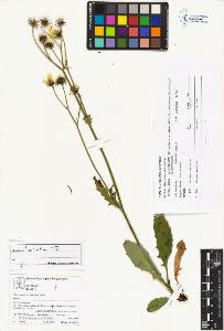 SW_BNB_s3070-04278_IMG-0000000001