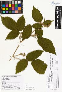 SW_BNB_s3070-04281_IMG-0000000001