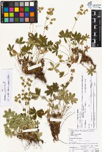 SW_BNB_s3070-04285_IMG-0000000001