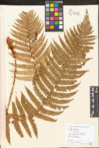 SW_BNB_s3070-04290_IMG-0000000001