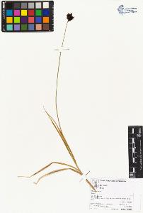 SW_BNB_s3070-04291_IMG-0000000001