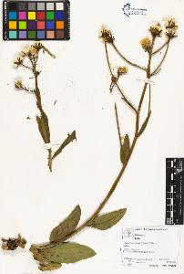 SW_BNB_s3070-04293_IMG-0000000001