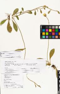 SW_BNB_s3070-04296_IMG-0000000001