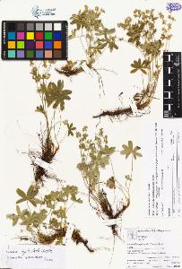 SW_BNB_s3070-04300_IMG-0000000001