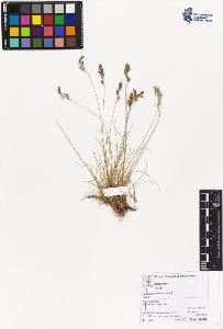 SW_BNB_s3070-04302_IMG-0000000001