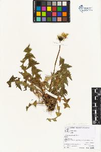 SW_BNB_s3070-04303_IMG-0000000001