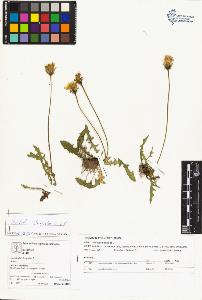 SW_BNB_s3070-04304_IMG-0000000001