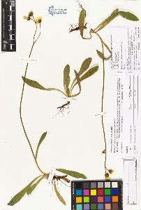 SW_BNB_s3070-04306_IMG-0000000001