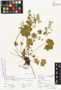 SW_BNB_s3070-04308_IMG-0000000001