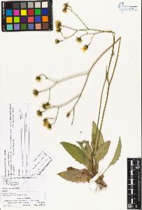 SW_BNB_s3070-04314_IMG-0000000001