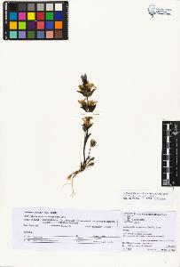 SW_BNB_s3070-04318_IMG-0000000001