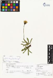 SW_BNB_s3070-04319_IMG-0000000001