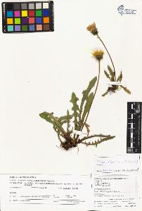 SW_BNB_s3070-04320_IMG-0000000001