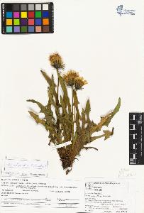 SW_BNB_s3070-04324_IMG-0000000001