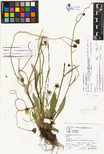 SW_BNB_s3070-04326_IMG-0000000001