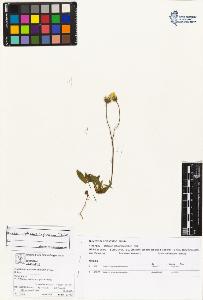 SW_BNB_s3070-04327_IMG-0000000001