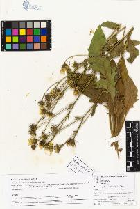 SW_BNB_s3070-04331_IMG-0000000001