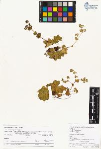 SW_BNB_s3070-04332_IMG-0000000001