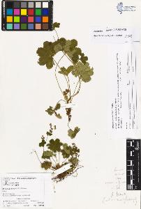 SW_BNB_s3070-04333_IMG-0000000001