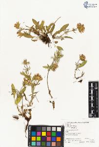 SW_BNB_s3070-04334_IMG-0000000001