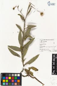 SW_BNB_s3070-04336_IMG-0000000001