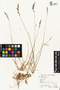 SW_BNB_s3070-04342_IMG-0000000001