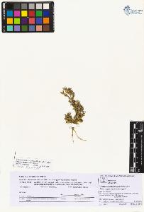 SW_BNB_s3070-04348_IMG-0000000001