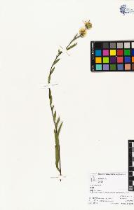 SW_BNB_s3070-04350_IMG-0000000001