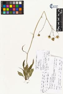 SW_BNB_s3070-04351_IMG-0000000001