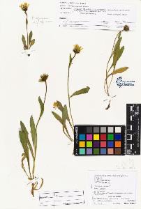 SW_BNB_s3070-04353_IMG-0000000001