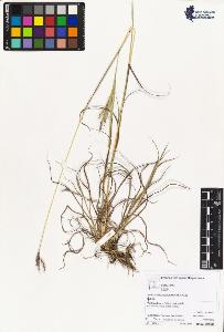 SW_BNB_s3070-04355_IMG-0000000001