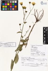 SW_BNB_s3070-04358_IMG-0000000001