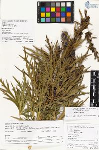 SW_BNB_s3070-04360_IMG-0000000001
