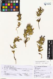 SW_BNB_s3070-04361_IMG-0000000001