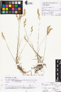SW_BNB_s3070-04364_IMG-0000000001