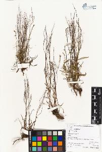 SW_BNB_s3070-04365_IMG-0000000001