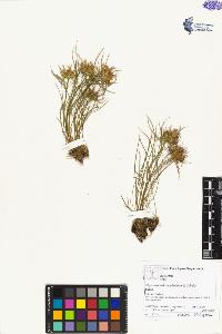 SW_BNB_s3070-04366_IMG-0000000001