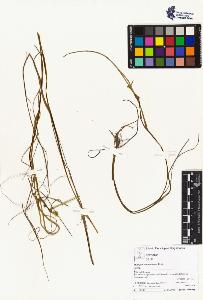 SW_BNB_s3070-04367_IMG-0000000001
