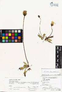 SW_BNB_s3070-04371_IMG-0000000001