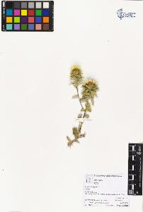 SW_BNB_s3070-04375_IMG-0000000001