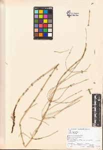 SW_BNB_s3070-04376_IMG-0000000001
