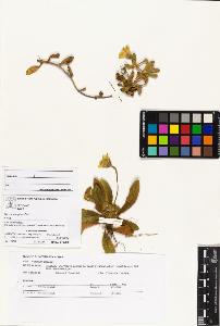 SW_BNB_s3070-04377_IMG-0000000001