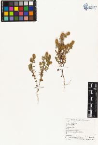 SW_BNB_s3070-04380_IMG-0000000001